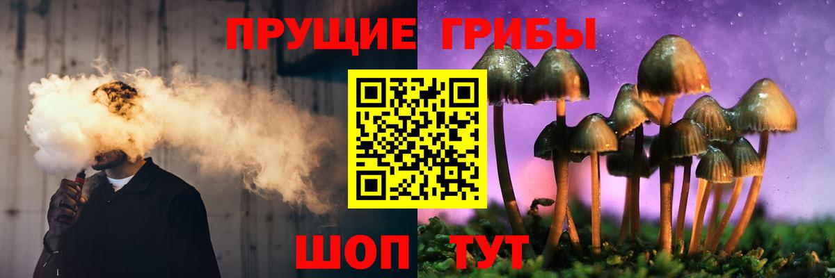 Псилоцибиновые грибы ЛСД Нефтекумск